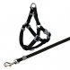Foto 1: PEITORAL+TRELA ''PREMIUM'' P/ GATOS 26x37cm/10mm - 1.20MT                                                