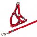 Foto 3: PEITORAL+TRELA ''PREMIUM'' P/ GATOS 26x37cm/10mm - 1.20MT                                                