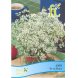Foto 0: Aromticas - Anis Erva Doce