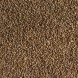 Foto 1: Semente F�nio Paddy - 1kg