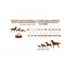 Foto 4: Pet Cup - Adult Premium Frango e Arroz