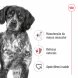 Foto 1: Royal Canin - H�mido Medium Adult