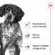 Foto 2: Royal Canin - H�mido Medium Ageing