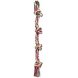 Foto 2: Corda Multicolorida c/ 2 n�s 20cm
