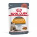 Foto 0: Royal Canin - H�mido Gato Hair & Skin (Gravy/Molho)