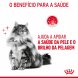 Foto 2: Royal Canin - H�mido Gato Hair & Skin (Gravy/Molho)