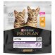 Foto 0: PRO PLAN Original Kitten Frango 1.5kg