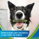 Foto 1: Dentalife ActivFresh Small