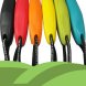 Foto 2: P� Litter Always Multicolor 