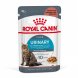 Foto 0: Royal Canin - H�mido Urinary Care (Gravy/Molho)