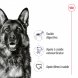 Foto 1: Royal Canin - Maxi Adult Lata