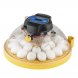 Foto 0: Incubadora Brinsea Maxi 24 PRO