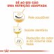 Foto 3: Royal Canin - Shih Tzu 1.5kg