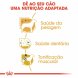 Foto 3: Royal Canin - Poodle (Caniche) 7.5kg