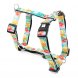 Foto 0: Max & Molly - Peitoral Exotique XS