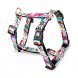 Foto 0: Max & Molly - Peitoral Missy Pop XS