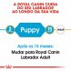 Foto 1: Royal Canin - Labrador Retriever Junior 3kg