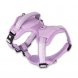Foto 3: Max & Molly - Peitoral Sport Matrix 2.0 S