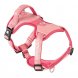 Foto 5: Max & Molly - Peitoral Sport Matrix 2.0 S