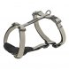 Foto 0: Peitoral Citystyle XS-S