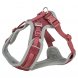 Foto 4: Peitoral Flexmesh XS-S