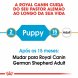 Foto 1: Royal Canin - German Shepherd Junior (Pastor Alem�o)