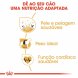 Foto 2: Royal Canin - Cocker Adult 12kg