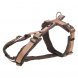 Foto 0: Peitoral Trekking Premium Bege S