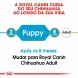 Foto 1: Royal Canin - Chihuahua Junior 500Gr.