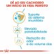 Foto 2: Royal Canin - Chihuahua Junior 500Gr.