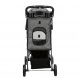 Foto 5: Buggy Friends on Tour Cinza