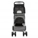 Foto 6: Buggy Friends on Tour Cinza