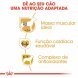 Foto 3: Royal Canin - Boxer Adult